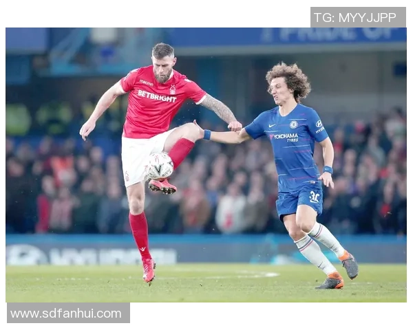 欧联杯焦点战：里昂与利物浦激战成和数据分析揭示比赛亮点